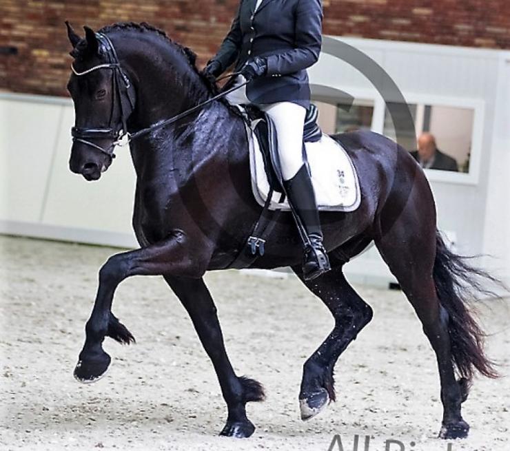 Gallery Photo of Norbit SPORT - #2